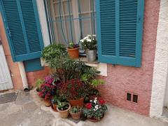 183 D24 BORMES LES MIMOSAS 2_000036